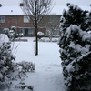  René Vriezen 2009-12-20 #0002 - Presikhaaf Sneeuw rond om h...