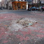 P1130387 - diverse