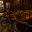 P1130450 - sneeuw