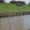 DSC08300 - Brielse Maasloop  4 maart 07