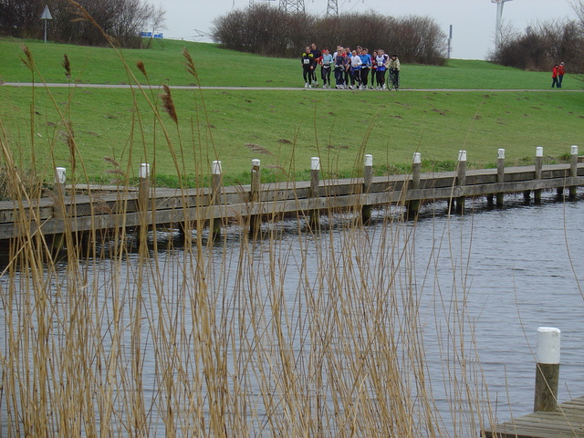 DSC08300 Brielse Maasloop  4 maart 07