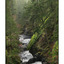 Englishman River tall Panorama - Panorama Images