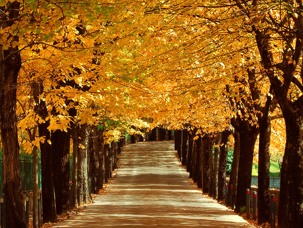 in viaggio verso l'inverno - 