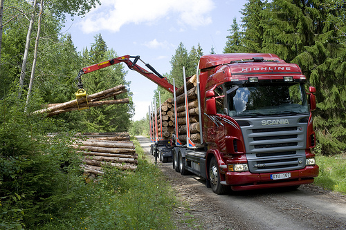 2871826805 9cebc0ca8d - 