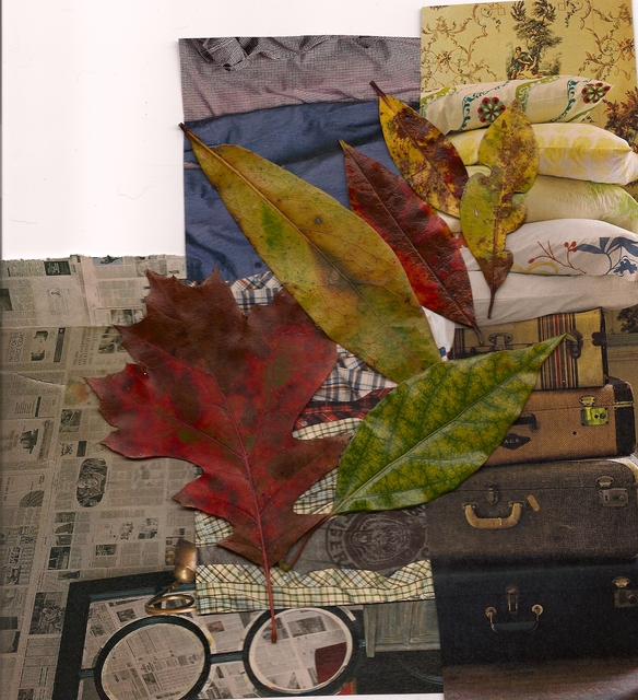 leaves Picture Box