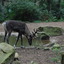 DSC 1627 - Burgers Zoo