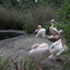 DSC 1634 - Burgers Zoo