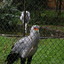 DSC 1640 - Burgers Zoo