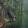 DSC 1641 - Burgers Zoo