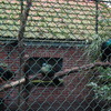 DSC 1659 - Burgers Zoo