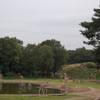 DSC 1678 - Burgers Zoo