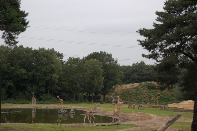 DSC 1678 Burgers Zoo