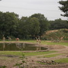 DSC 1681 - Burgers Zoo