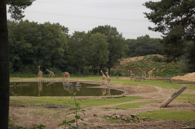 DSC 1681 Burgers Zoo