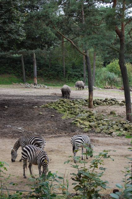 DSC 1682 Burgers Zoo