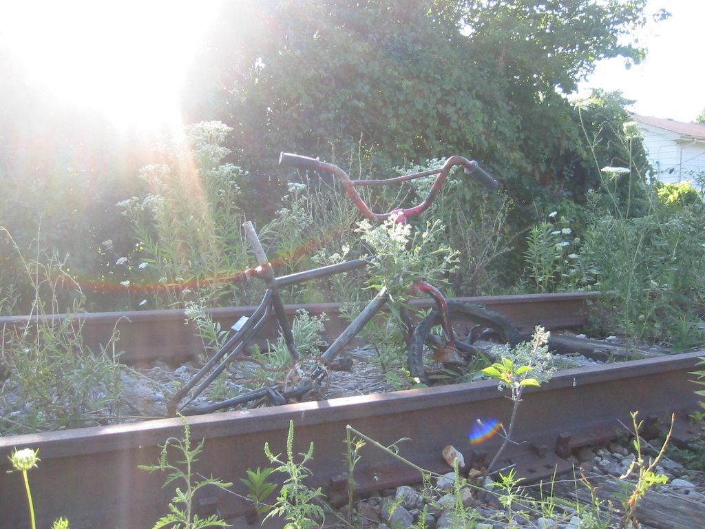 Random 065 - 