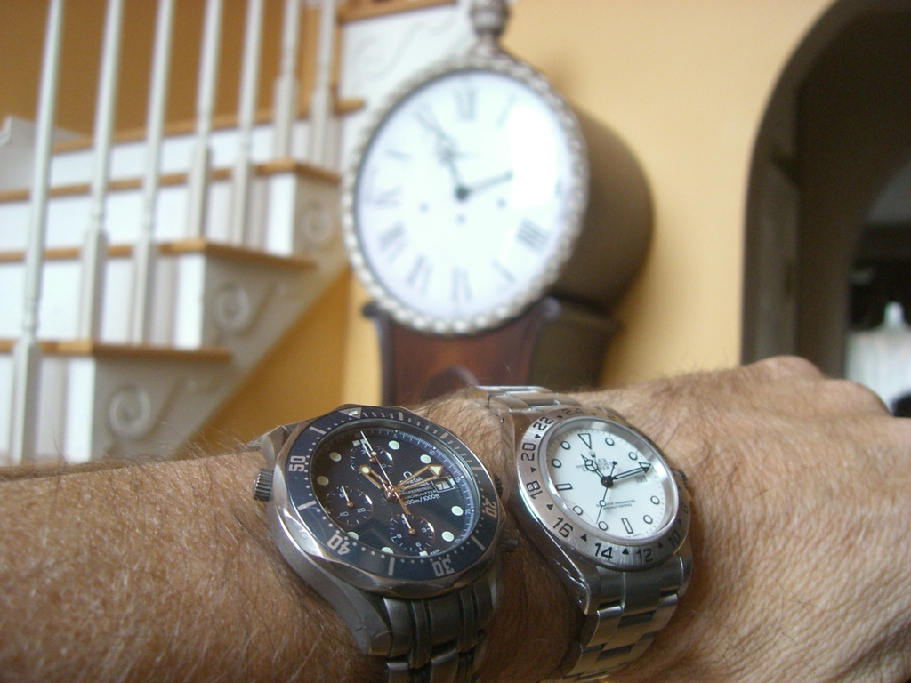 CIMG2346 - ZdjÄ™cia rÃ³Å¼ne