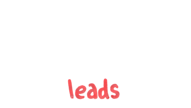 25 leads random junks