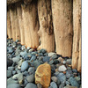 Posts and Rocks - Nature Images