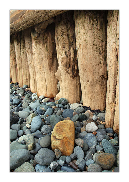 Posts and Rocks Nature Images