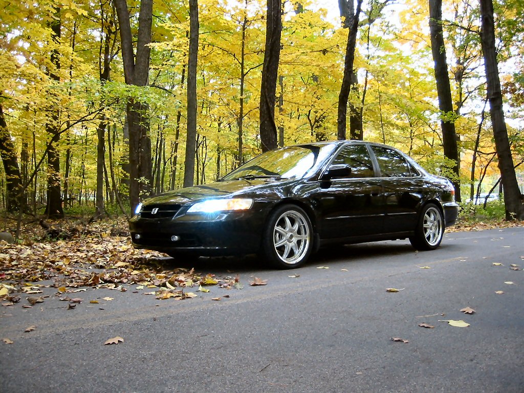 fall shots 006 - 