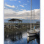 comox docks 04 - Comox Valley