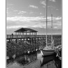 comox docks 10 - Black & White and Sepia