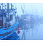 Foggy Boats - Comox Valley