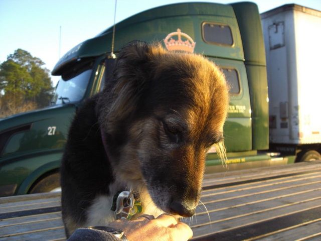 i4179 Fotosik - Widoki z trasy