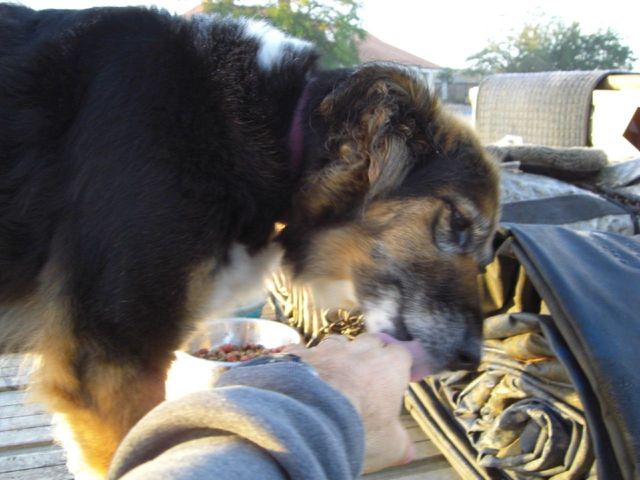 i4178 Fotosik - Widoki z trasy