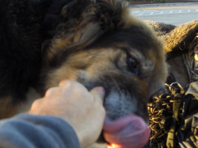 i4177 Fotosik - Widoki z trasy