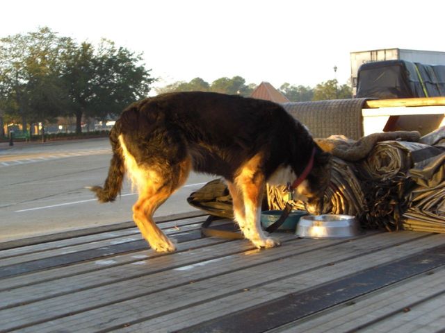 i4176 Fotosik - Widoki z trasy