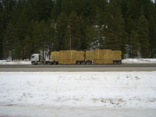 i3854 Fotosik - Widoki z trasy