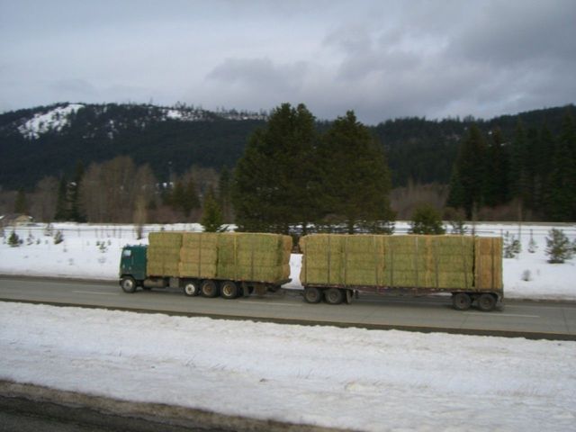 i3852 Fotosik - Widoki z trasy