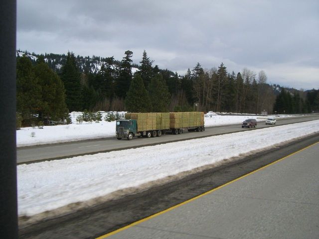 i3851 Fotosik - Widoki z trasy