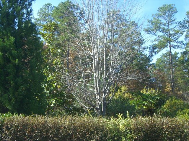 i3754 Fotosik - Widoki z trasy