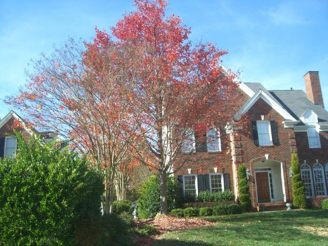 i3753 Fotosik - Widoki z trasy