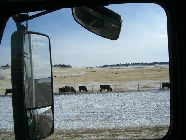 i3503 Fotosik - Widoki z trasy