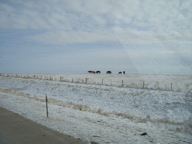 i3499 Fotosik - Widoki z trasy