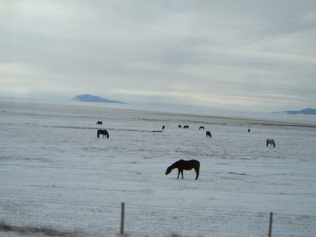 i3483 Fotosik - Widoki z trasy