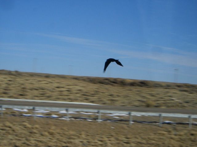 i3457 Fotosik - Widoki z trasy