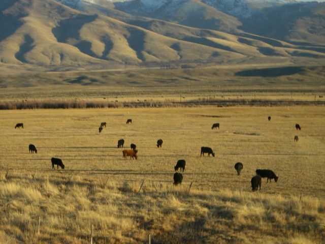 i3422 Fotosik - Widoki z trasy