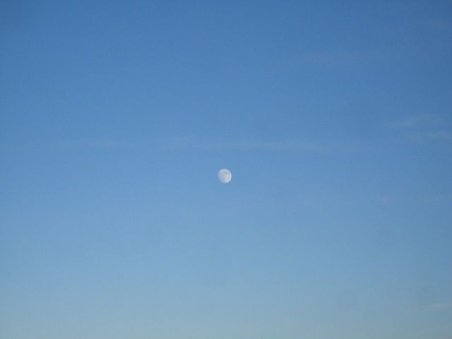 i3421 Fotosik - Widoki z trasy