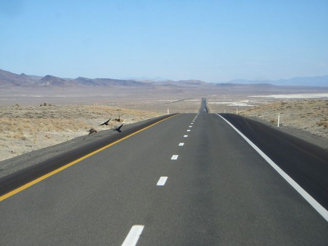 i3383 Fotosik - Widoki z trasy