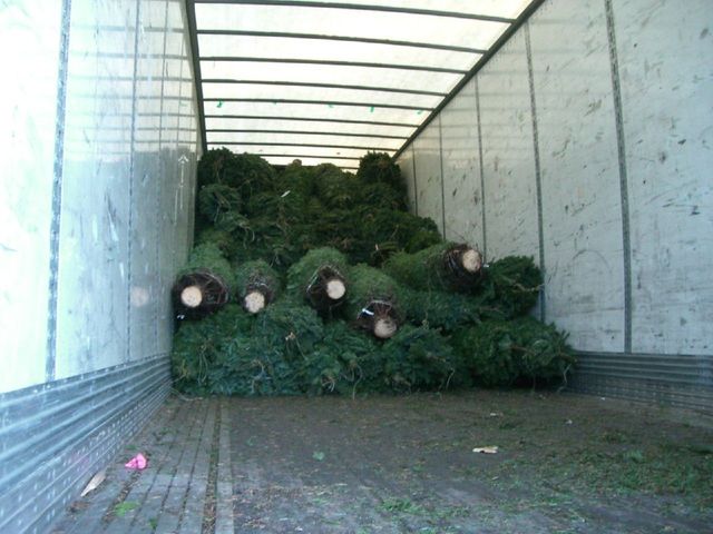 i3346 Fotosik - Widoki z trasy