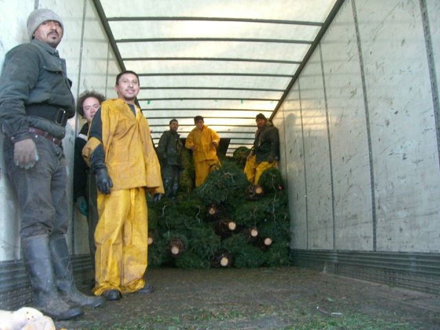 i3340 Fotosik - Widoki z trasy