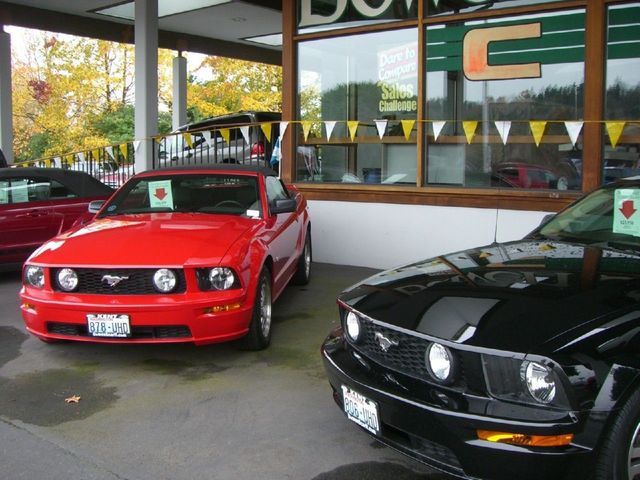 i3315 Fotosik - Widoki z trasy