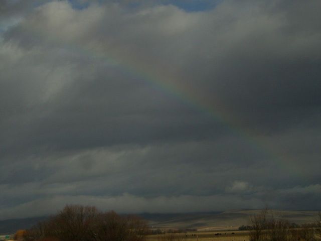 i3249 Fotosik - Widoki z trasy