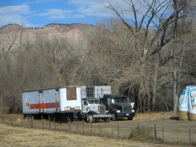 i3195 Fotosik - Widoki z trasy