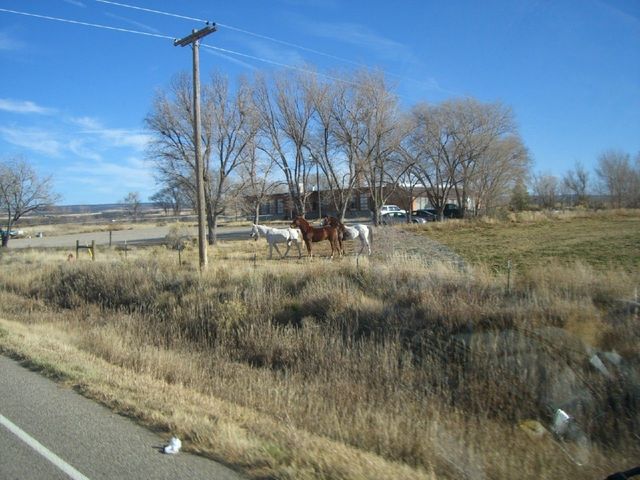 i3162 Fotosik - Widoki z trasy